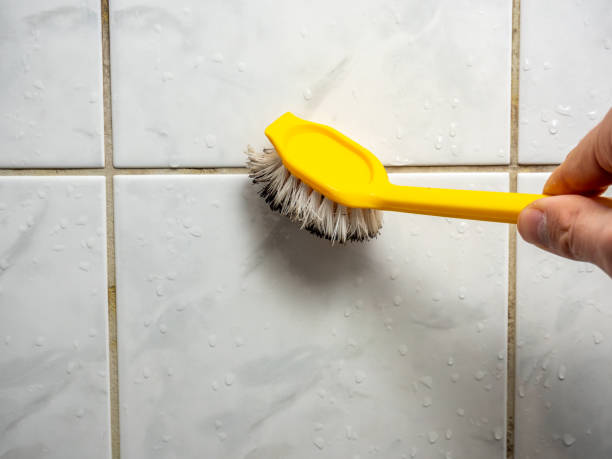 Mold Removal and Inspection in Monticello, MS