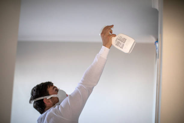 Mold Removal Process in Monticello, MS