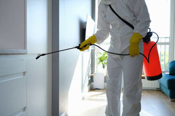 Best Home Mold Removal  in Monticello, MS