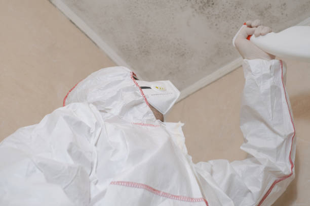 Mold Testing and Removal in Monticello, MS